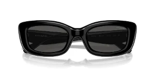 Coach Sunglasses HC8390U