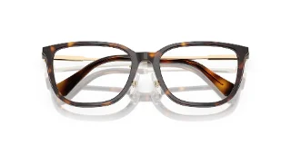 Swarovski Eyeglasses SK2041D