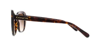 Coach Sunglasses HC8204 L1631