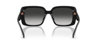 Coach Sunglasses HC8424F