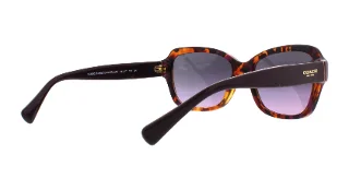 Coach Sunglasses HC8160 L145