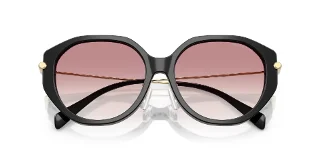 Michael Kors Sunglasses MK2248D