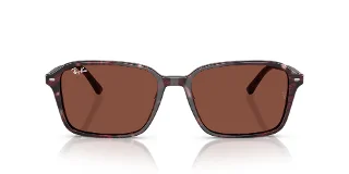 Ray Ban Sunglasses RB2231