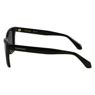 Salvatore Ferragamo Sunglasses SF2039SE