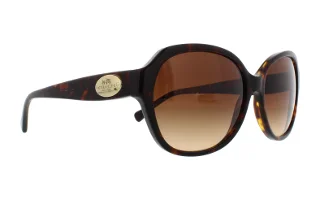 Coach Sunglasses HC8150 L133