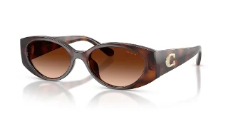 512074 Dark Tortoise