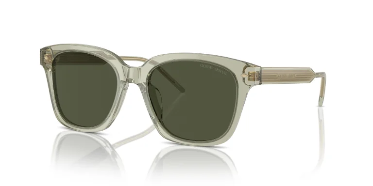 Giorgio Armani Sunglasses AR8210U