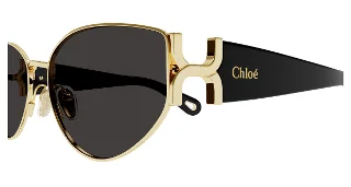Chloe Sunglasses CH0260S