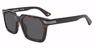 Police Sunglasses SPLP29