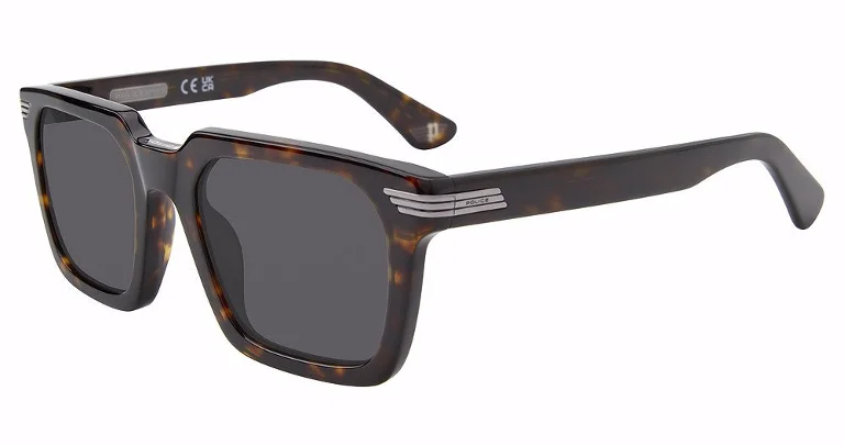 Police Sunglasses SPLP29