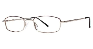 Brown/Silver