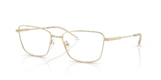 3013 Shiny Pale Gold