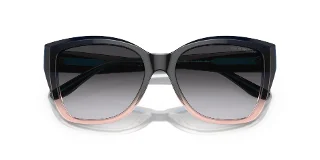 Emporio Armani Sunglasses EA4198