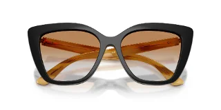 Emporio Armani Sunglasses EA4254U