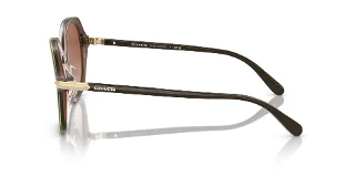 Coach Sunglasses HC8377U