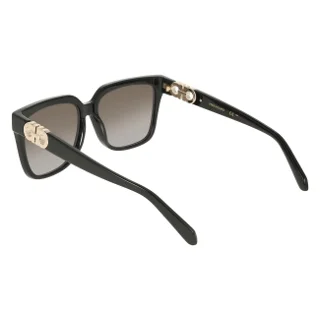 Salvatore Ferragamo Sunglasses SF2109S