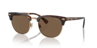 613773 Shiny Brown Tortoise