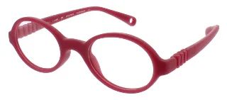Raspberry