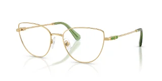 Swarovski Eyeglasses SK1007