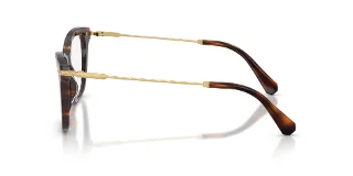 Swarovski Eyeglasses SK2071U