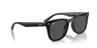 Ray Ban Sunglasses RB4420