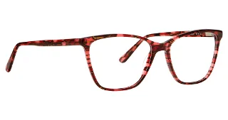 Xoxo Eyeglasses Evergreen