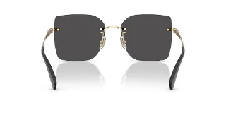 Coach Sunglasses HC7193D