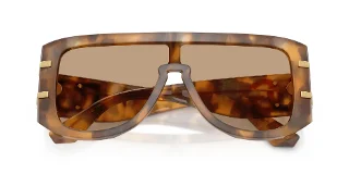 Dolce & Gabbana Sunglasses DG4565