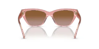 Coach Sunglasses HC8370U