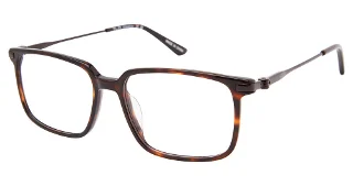 C01 Tortoise