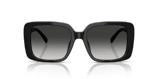 Coach Sunglasses HC8424U