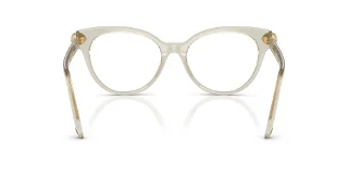 Swarovski Eyeglasses SK2046F