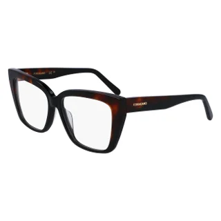 006 Black/Tortoise