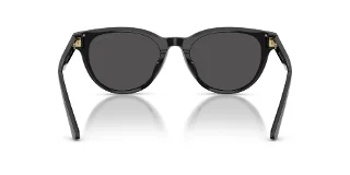 Jimmy Choo Sunglasses JC5043D