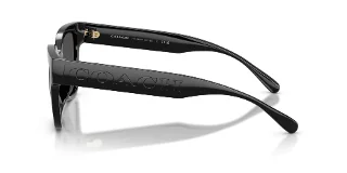 Coach Sunglasses HC8460U