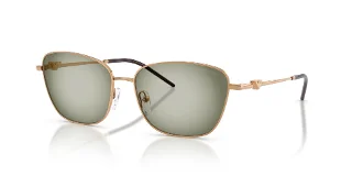 342713 Metal Brown