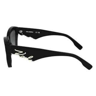 Karl Lagerfeld Sunglasses KL6179S