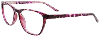 080 Purple Tortoise