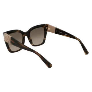 Longchamp Sunglasses LO762S