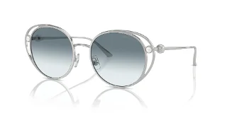 Jimmy Choo Sunglasses JC4003HB