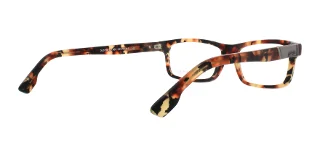 Diesel Eyeglasses DL5090