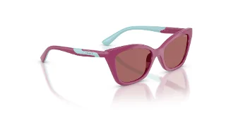 Vogue Sunglasses VJ2020