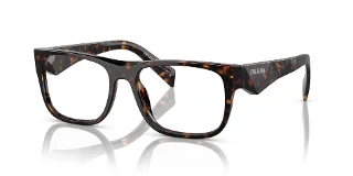 19J1O1 Tortoise