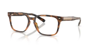 6161 Warm Tortoise