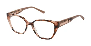 1 Brown Tortoise