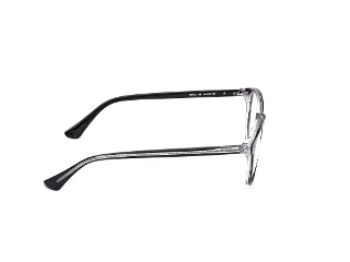 Web Eyeglasses WE5441