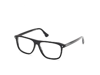 Web Eyeglasses WE5456