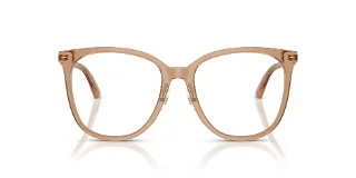 Jimmy Choo Eyeglasses JC3060F