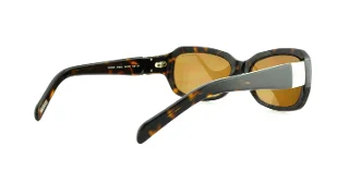 Ralph Sunglasses RA5049