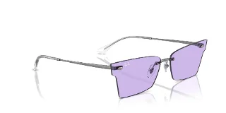 Ray Ban Sunglasses RB3730